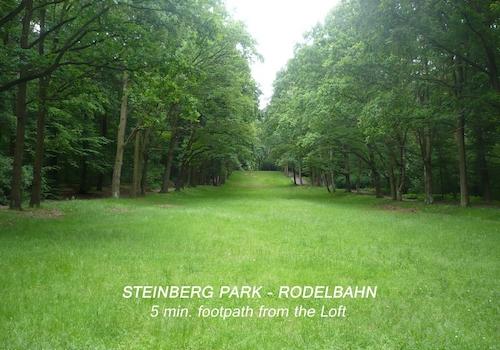 Entfernung: Steinberg Park