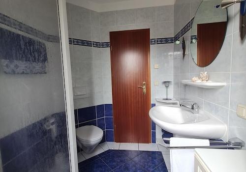 Gäste-Wc mit Duschbad EG