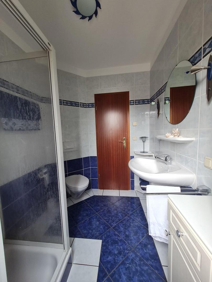 Gäste-Wc mit Duschbad EG