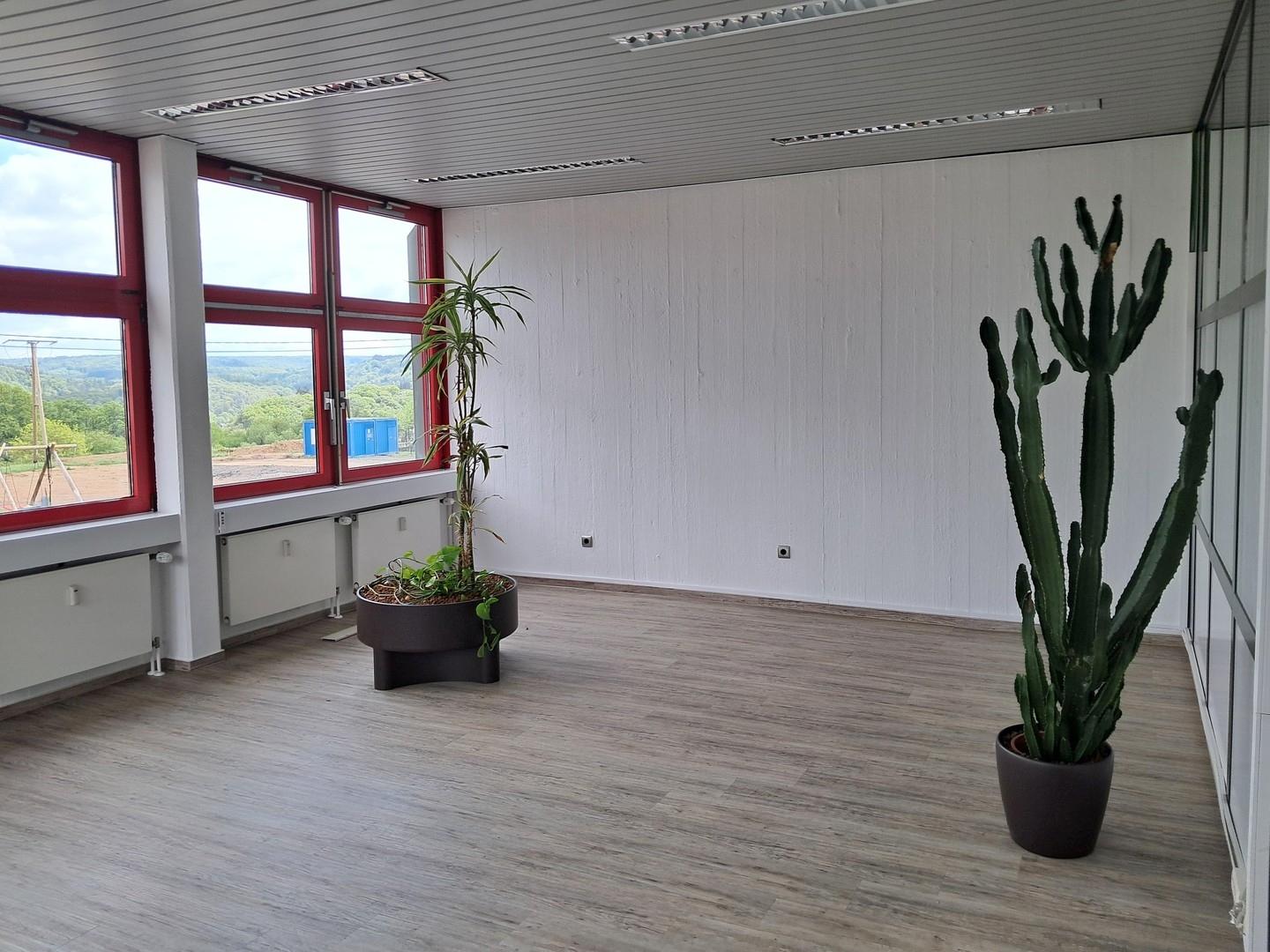 Büro Strassenseite 36