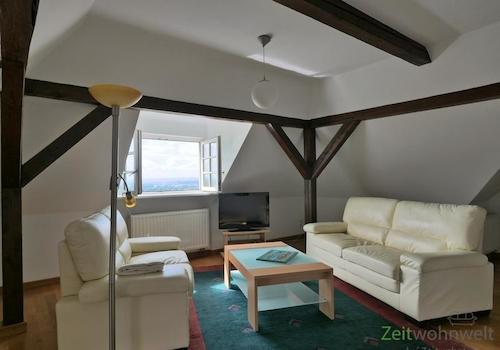 Blick ins Wohnzimmer 2