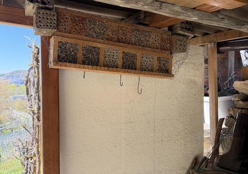 Bienen Hotel