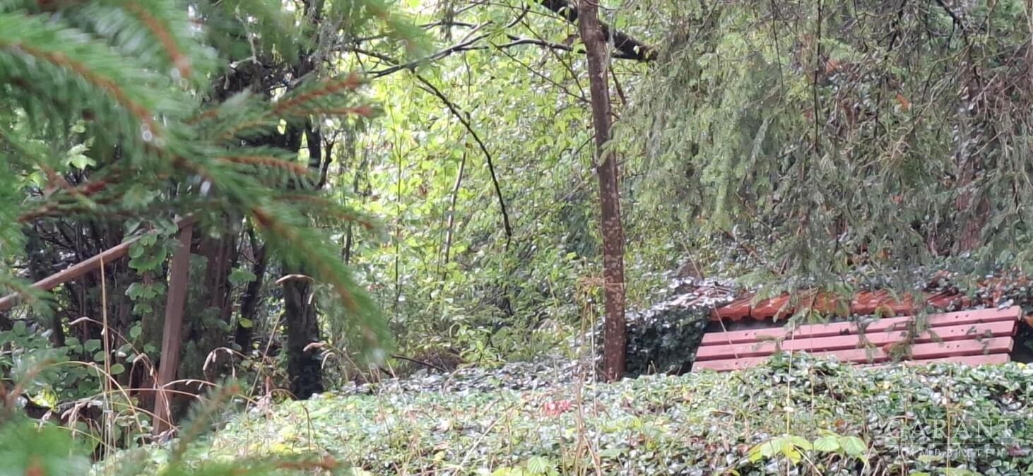 Waldgarten