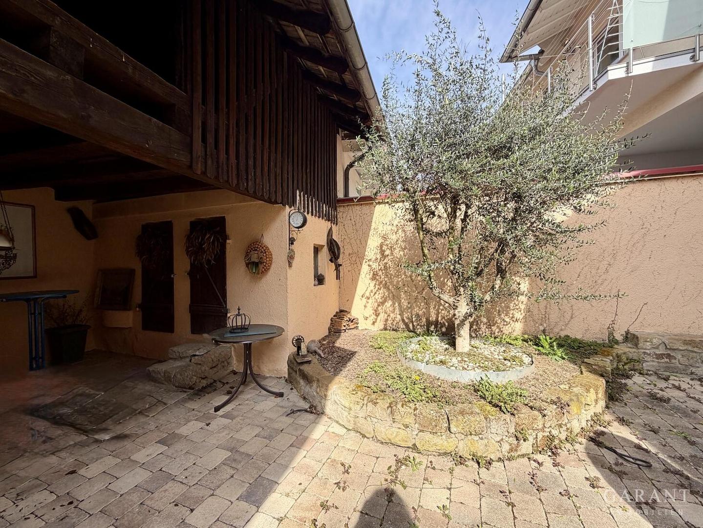 Mediterraner Innenhof mit Olivenbaum