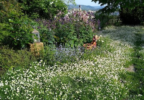 Garten 2