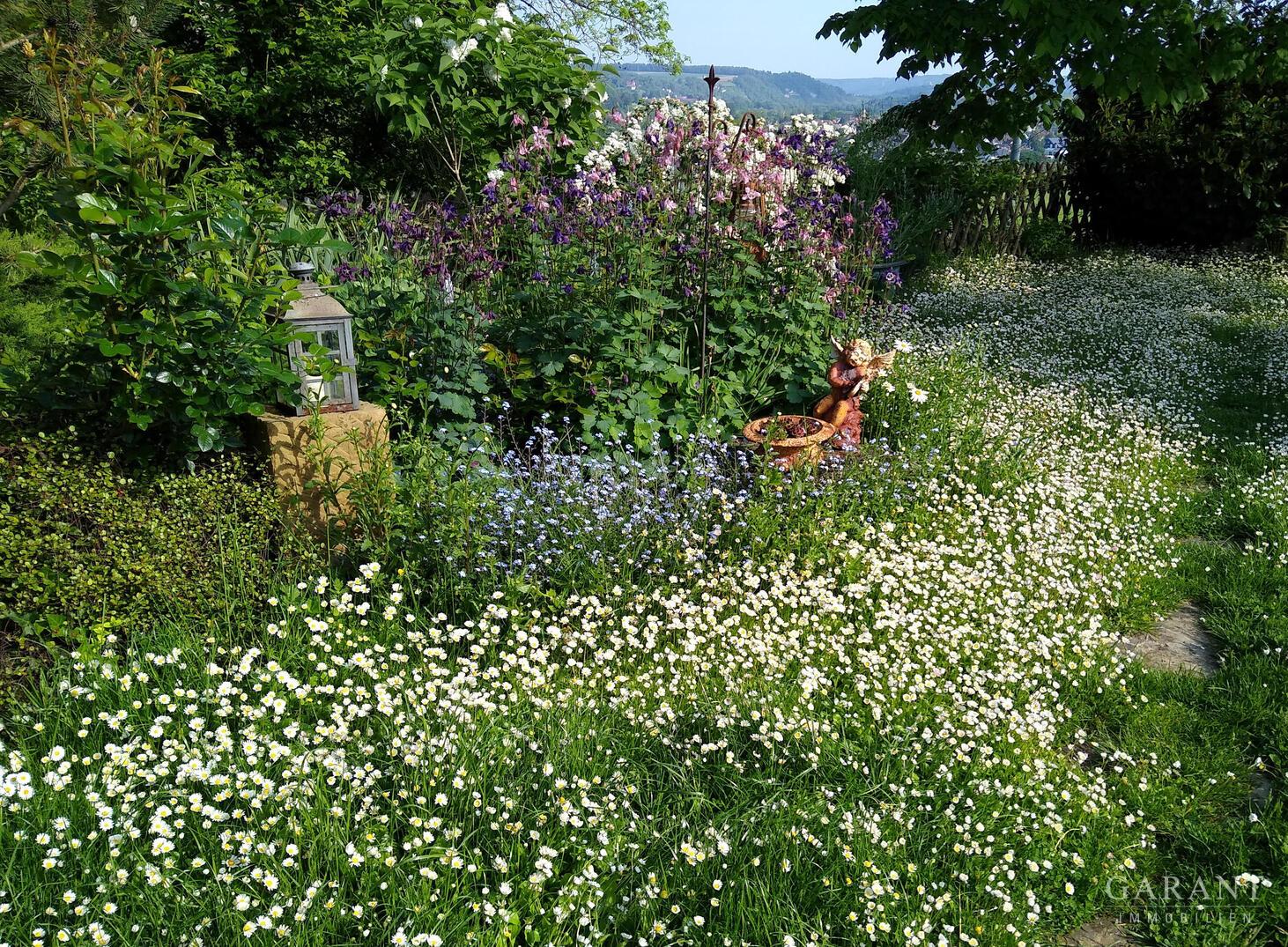 Garten 2