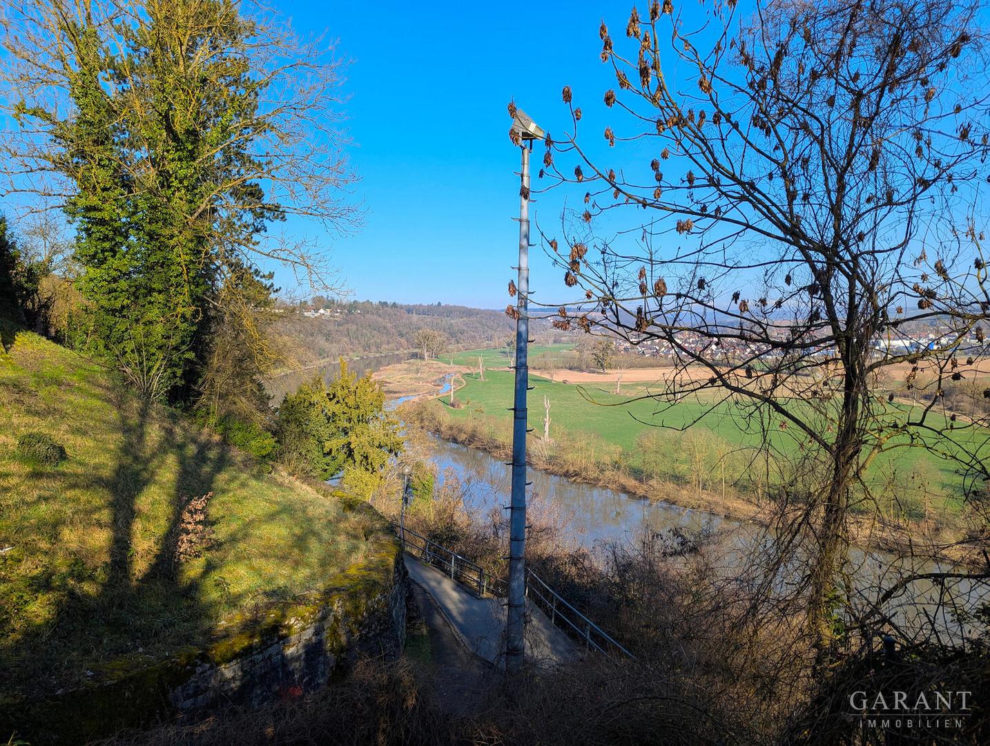 Blick Neckar