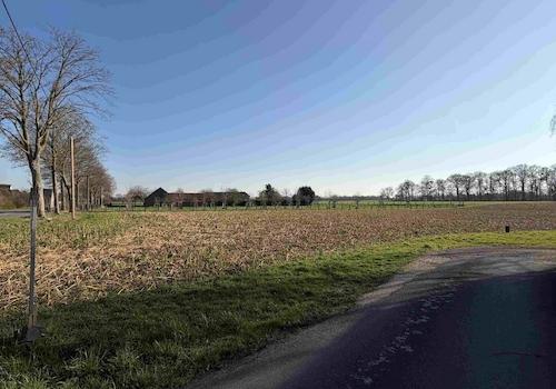 Blick auf das Feld