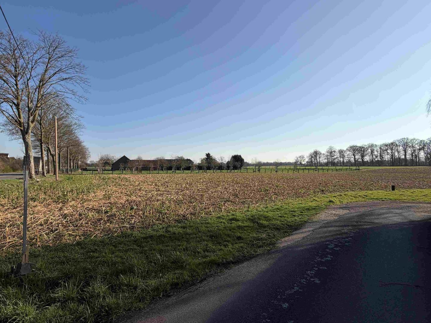Blick auf das Feld