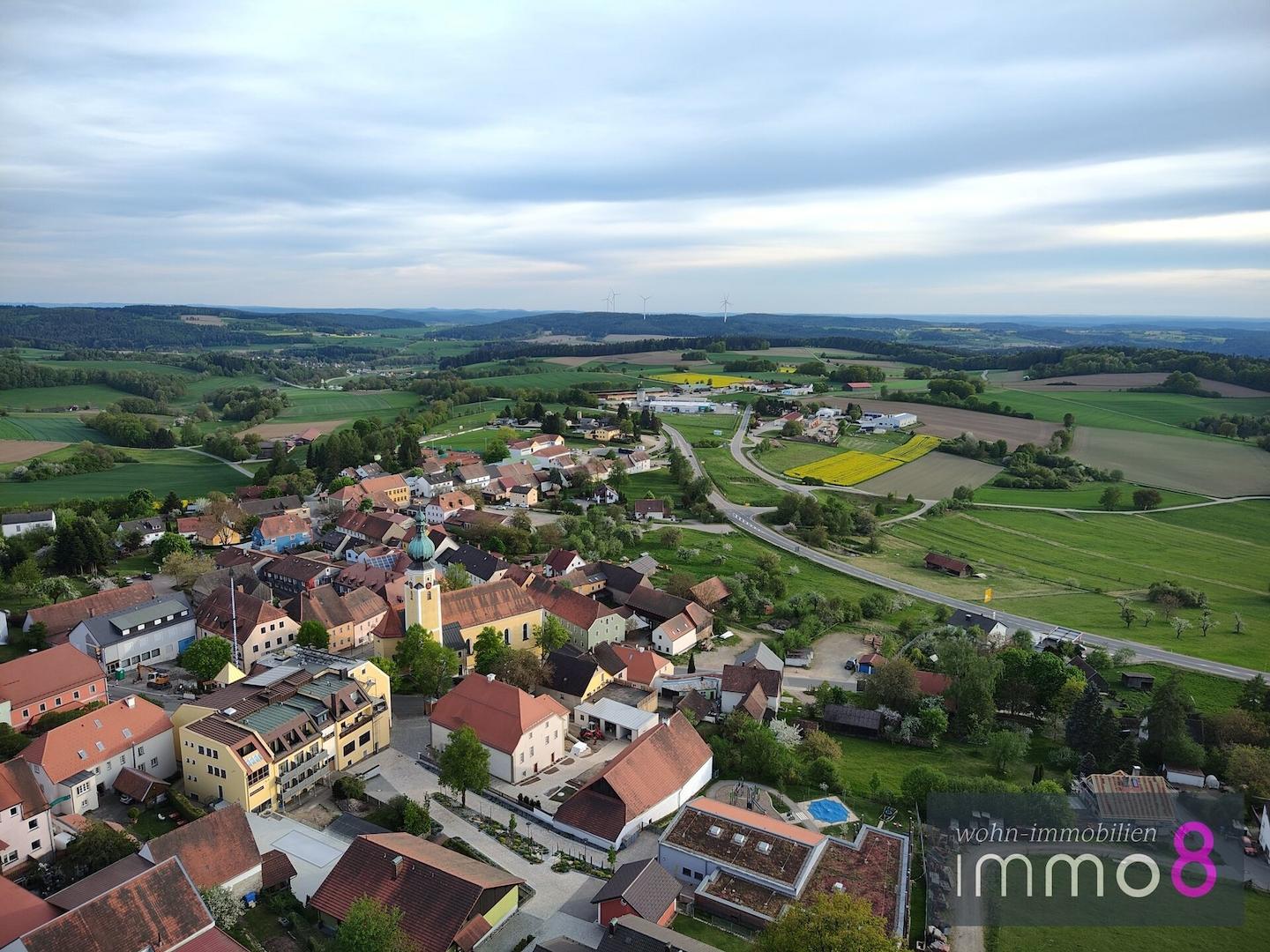 Blick auf Tännesberg (3)