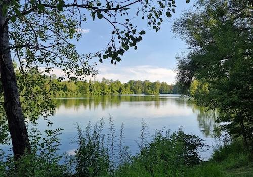 Poschinger Weiher Umgebung