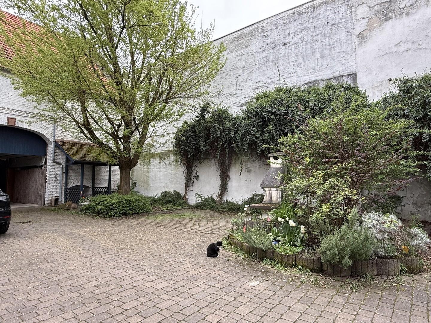 Außenansicht 1