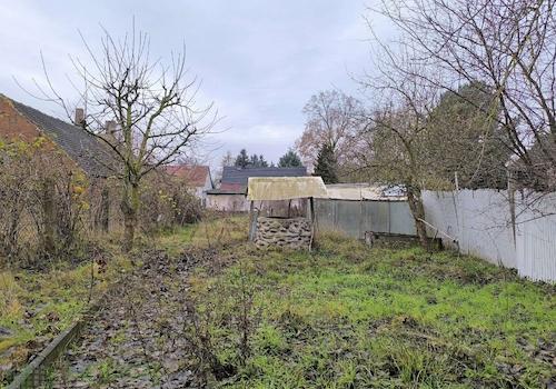 Garten Bild 2