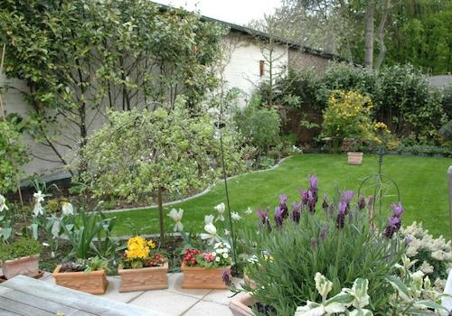 der Garten