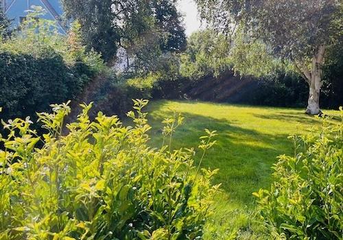 Garten Rückseite