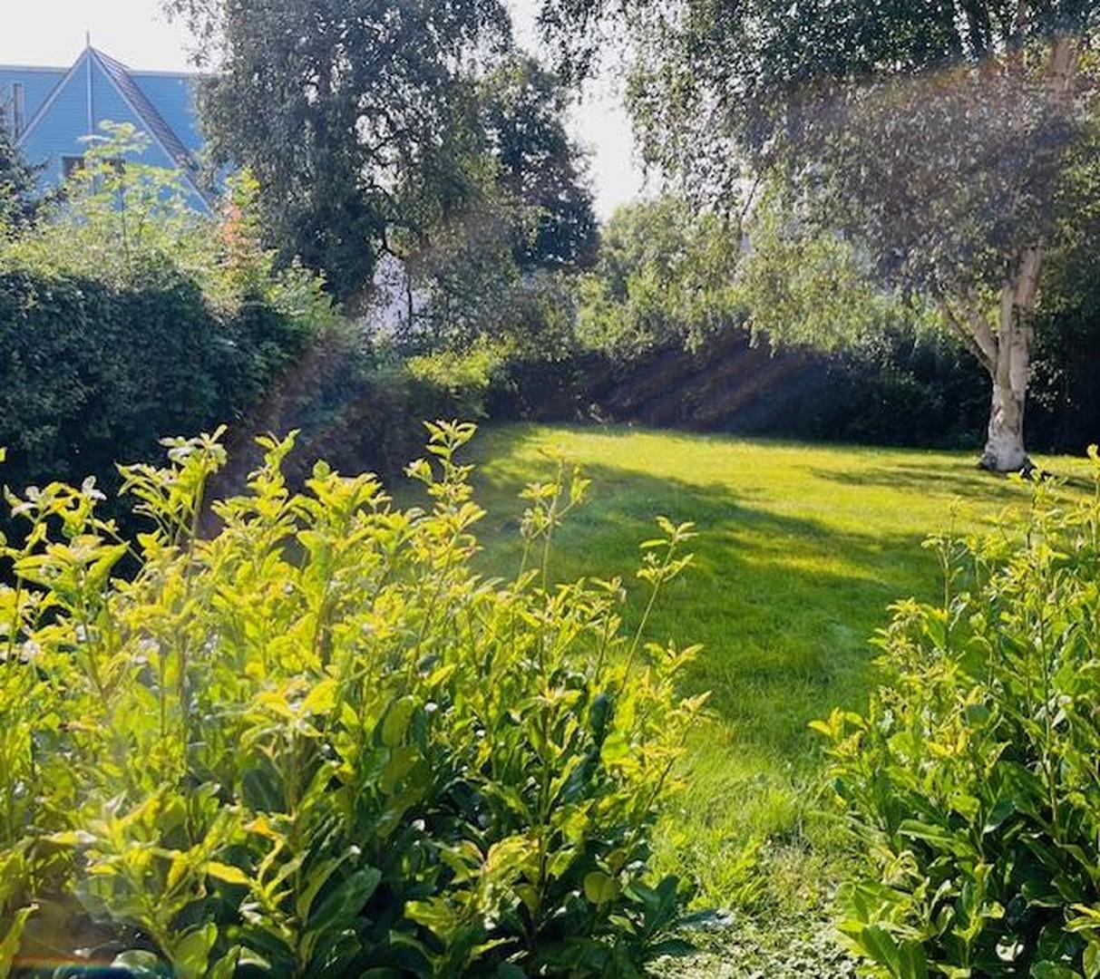 Garten Rückseite