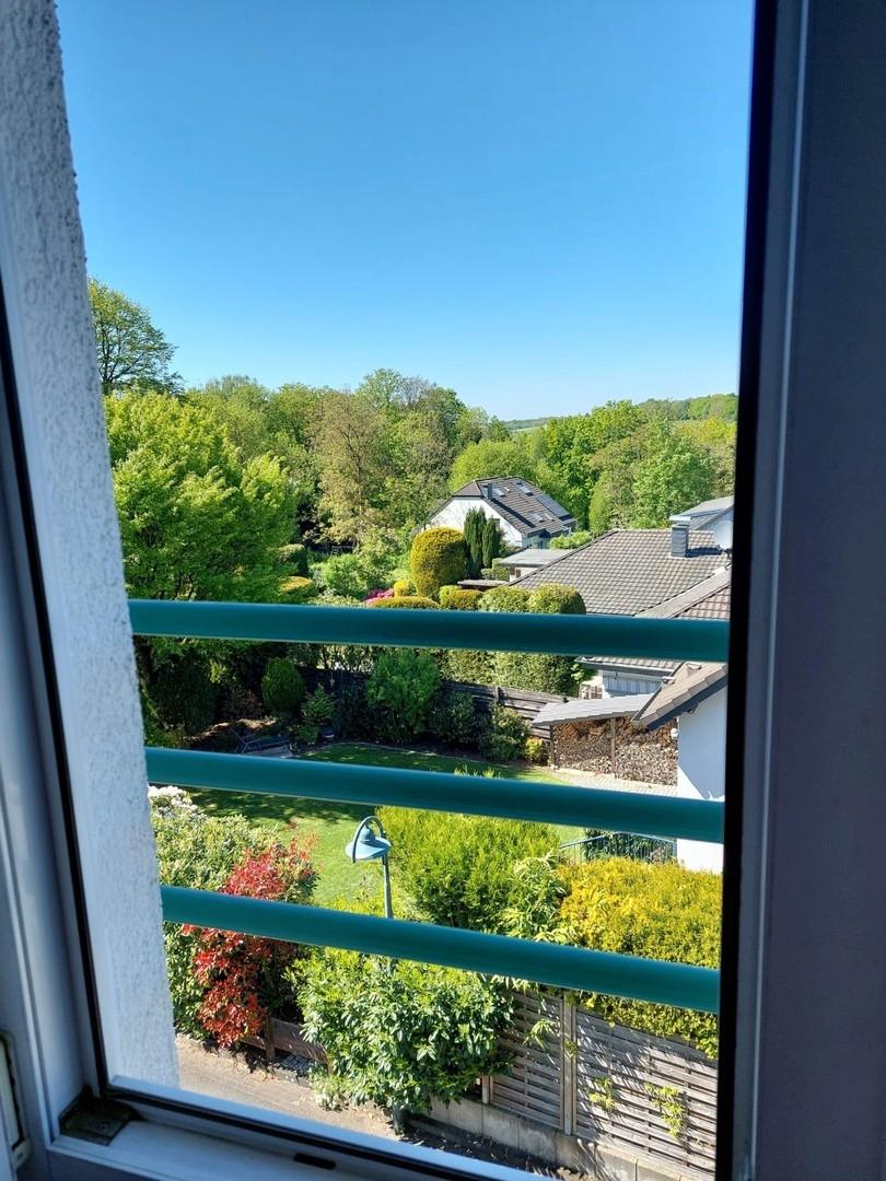 Blick aus Küchenfenster