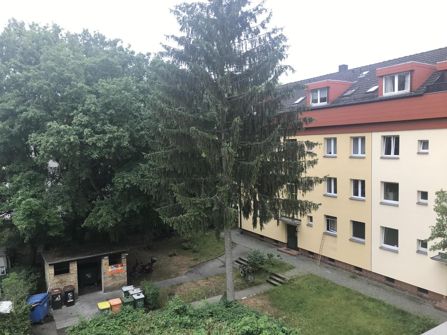 Gartenansicht 3