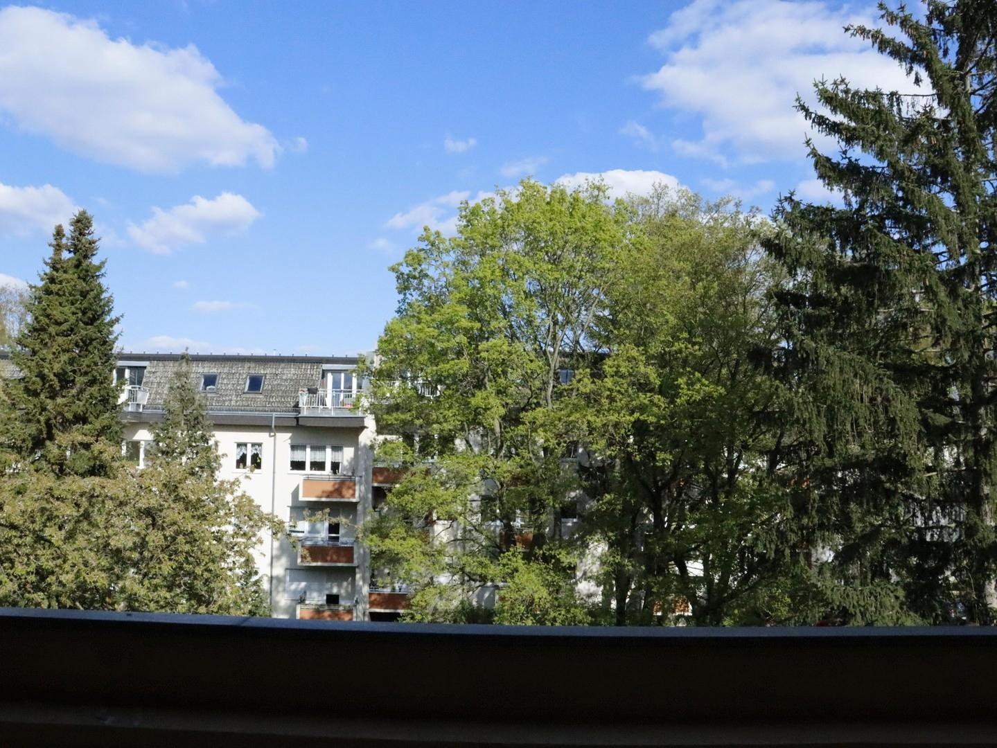 Blick vom Balkon ins Grüne