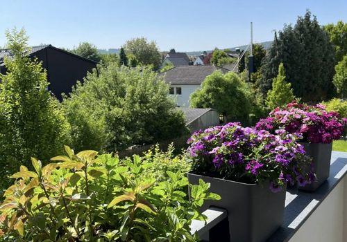 Ausblick
