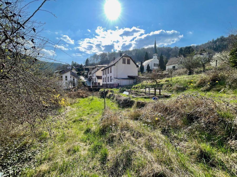 Zusätzlicher Garten (optional) - Blick West