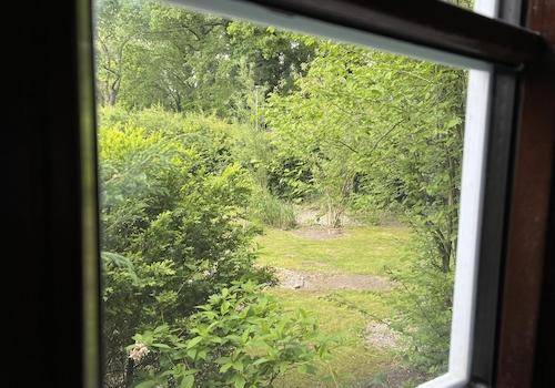 Blick aus dem Wohnzimmer 