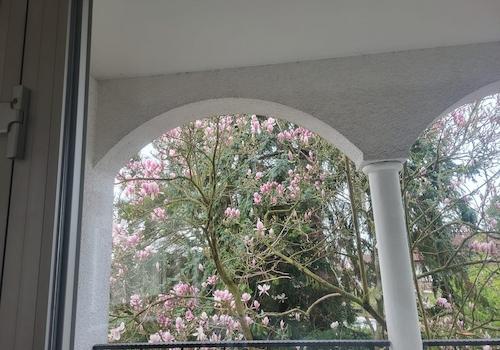 Loggia