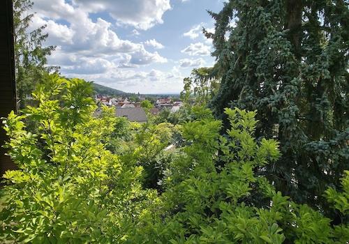 Ausblick von Balkon DG