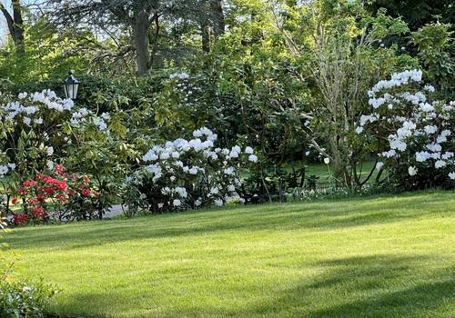 Gartenblick