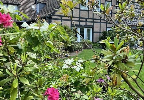 Gartenansicht