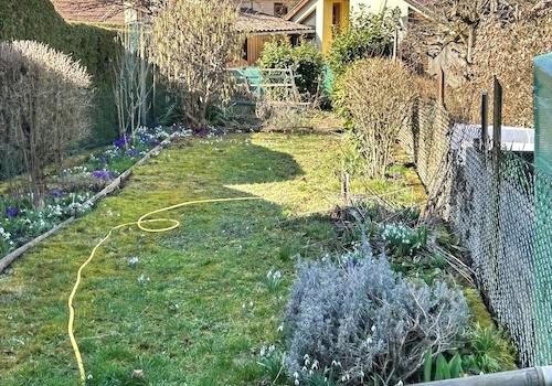 kleiner Garten