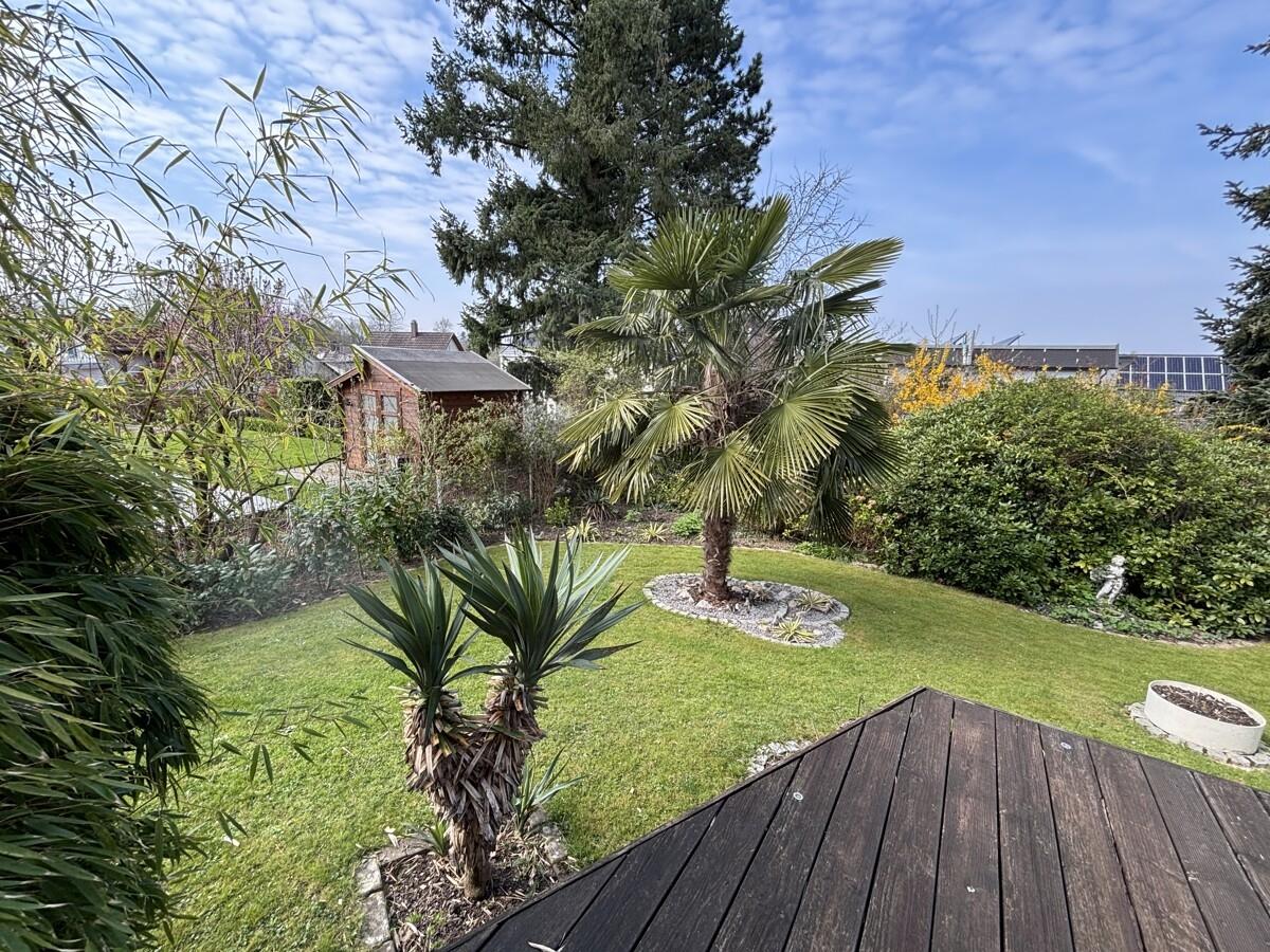 Garten von Terrasse