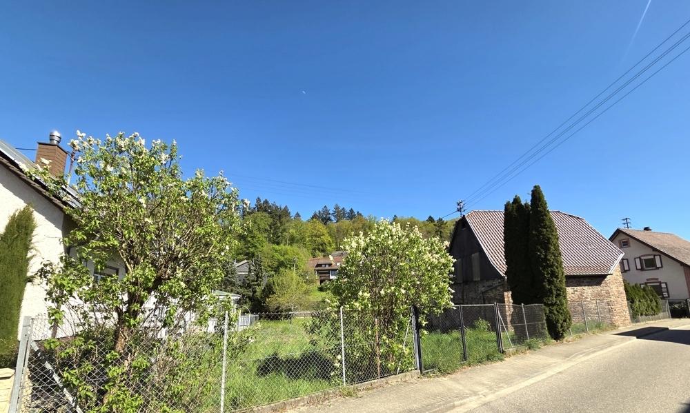 interessant für Sie?