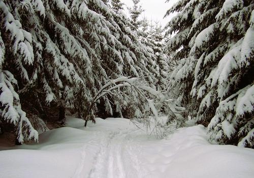 Winter-