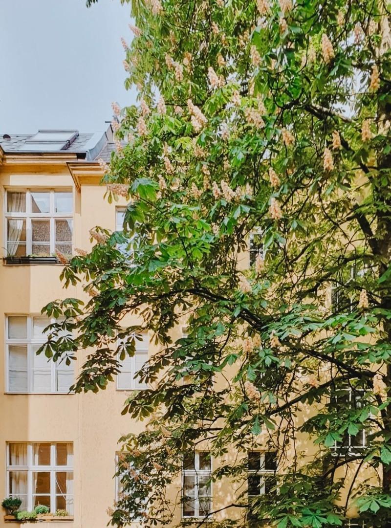 Schöner Frühjahrsblick