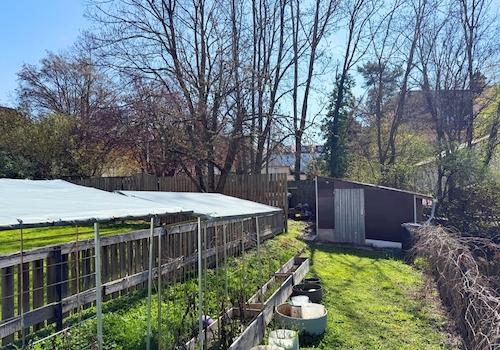 Garten 4