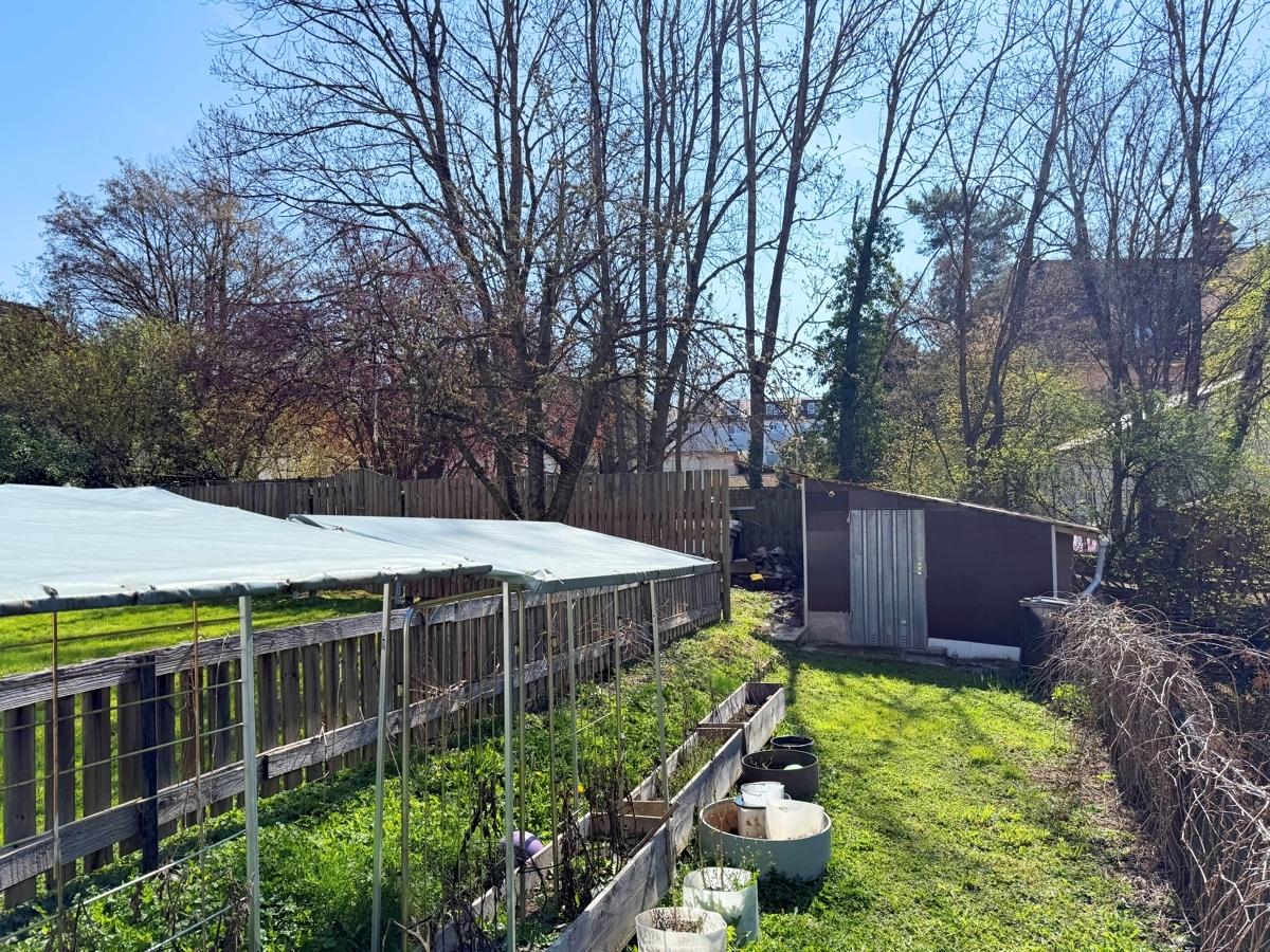Garten 4