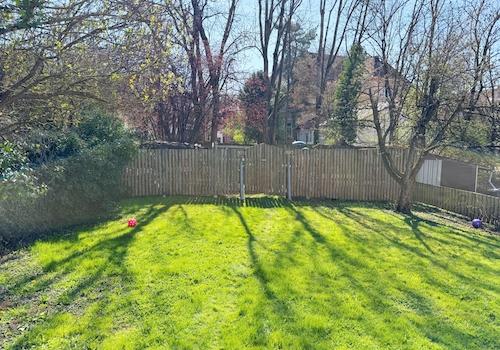 Garten 5