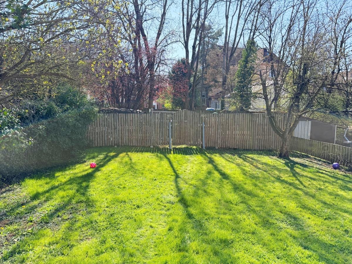 Garten 5