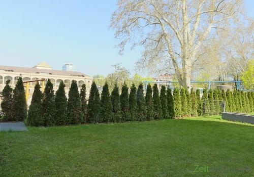 der eigene Garten