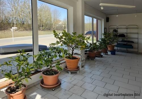 Bild/Grundriss 1