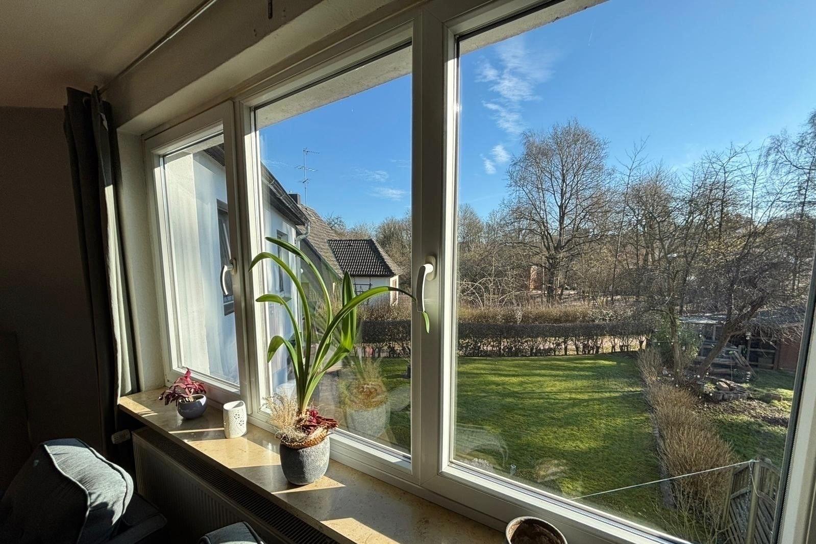 Blick in den Garten