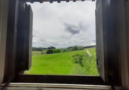 Ausblick aus dem 2. OG