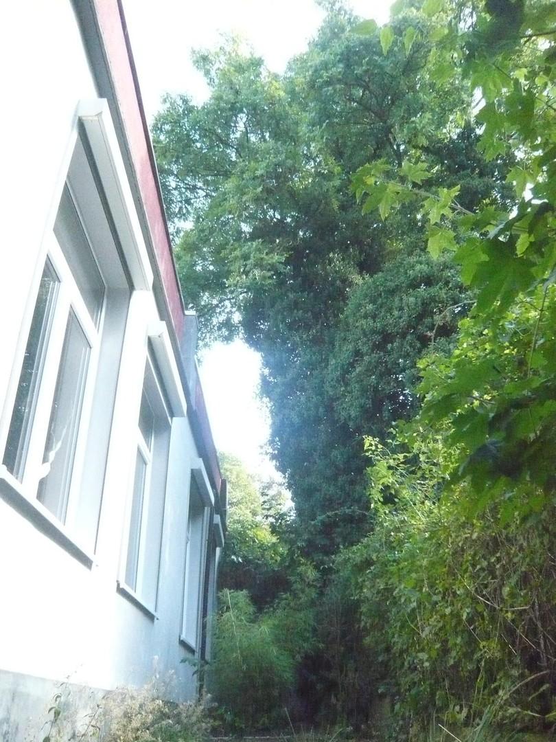 Südwest-Fassade