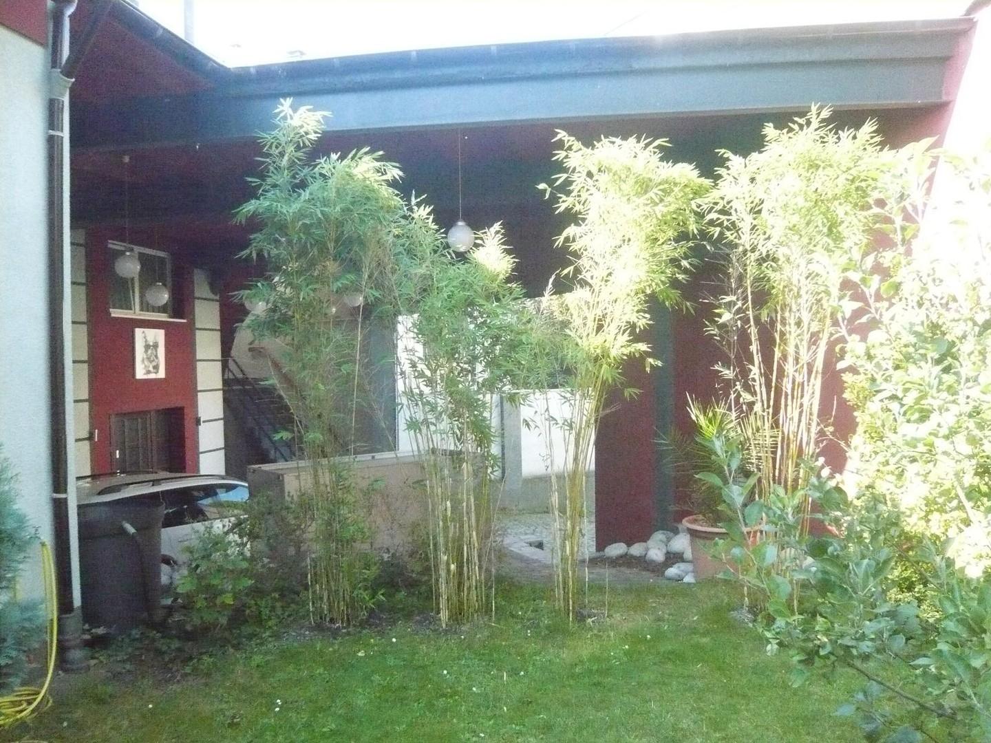Garten und überdachte Zufahrt
