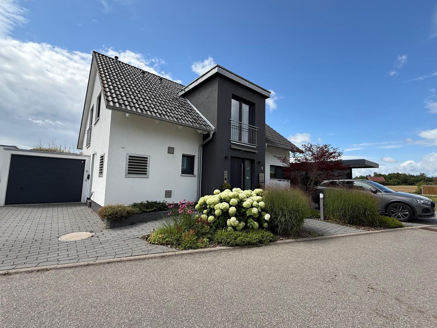 Zufahrt zur Garage