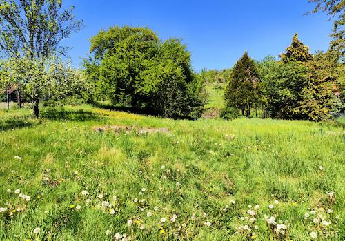 Gartengrundstück