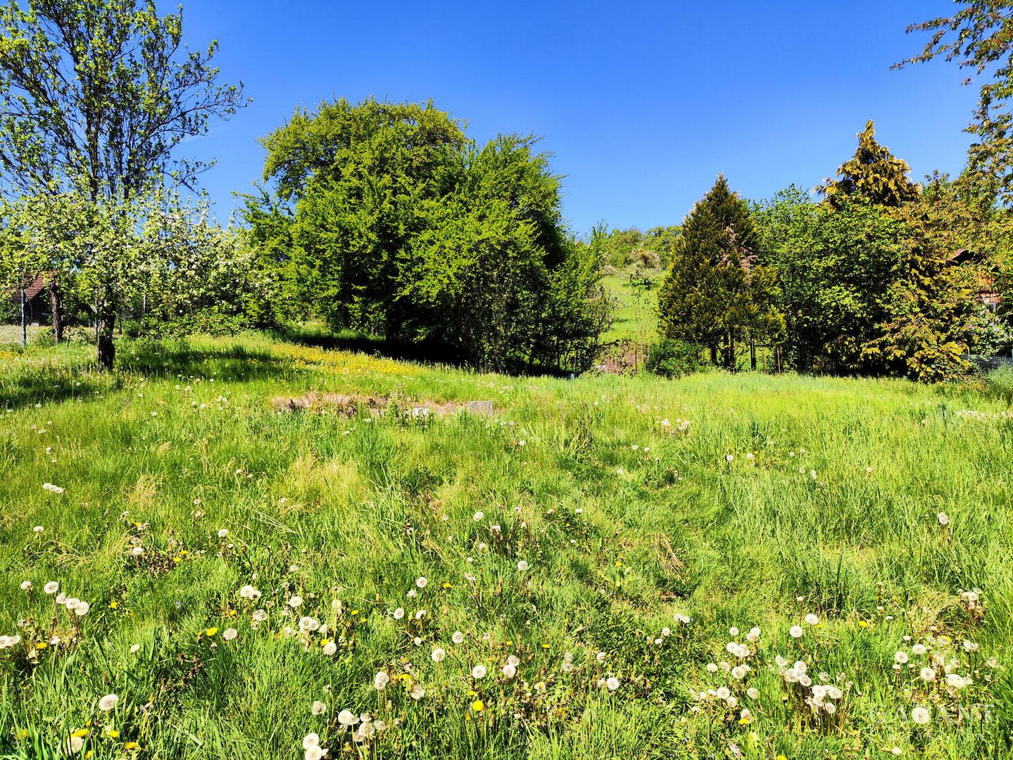 Gartengrundstück