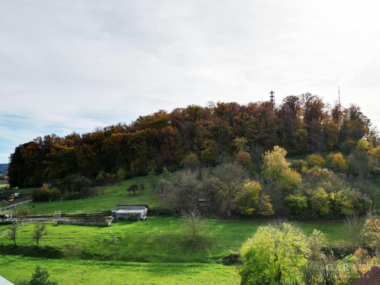 DJI 0538