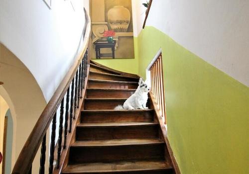 Orginal Treppe zum O.G.